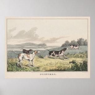 Vintage Illustration der Zeiger-Hunde (1846) Poster
