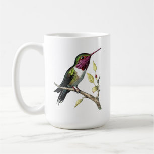 Vintage-Illustration des Annas Kolibris Kaffeetasse