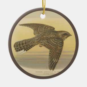 Vintage-Illustration des Europäischen Ziegenmelker Keramik Ornament