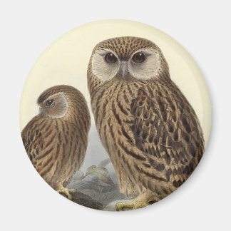 Vintage Illustration des Laughing Owl Magnet