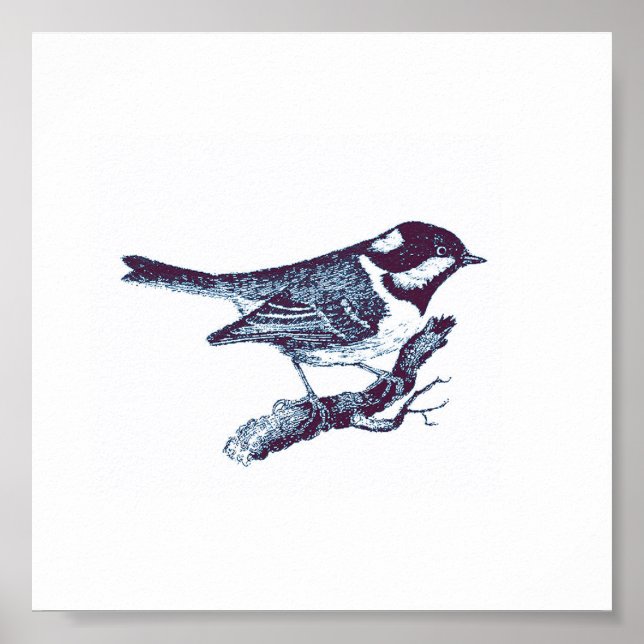 Vintage Illustration des Niedlichen Blauen Vogels Poster (Vorne)