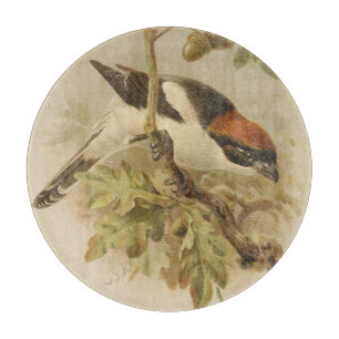 Vintage-Illustration des Rotkopfwürgers Schneidebrett