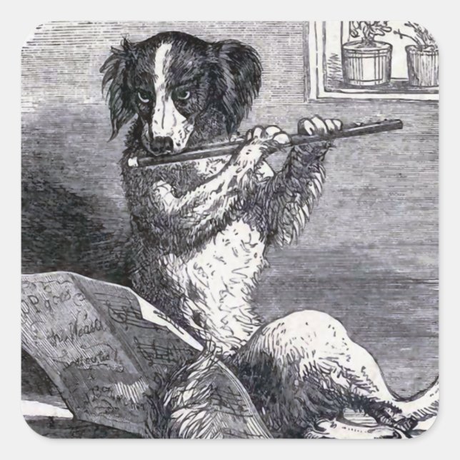 Vintage Illustration "Dog Playing the Flute" Quadratischer Aufkleber (Vorderseite)