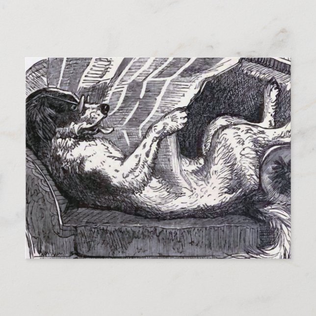 Vintage Illustration "Dog Reading Newspaper" Postkarte (Vorderseite)