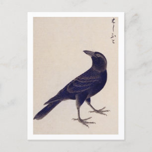 Vintage-Illustration: Dschungelkrähe Postkarte