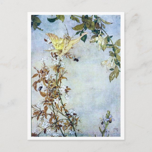 Vintage Illustration Edmund Dulac Tempest Postkarte (Vorderseite)