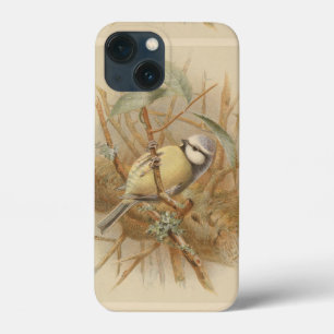 Vintage-Illustration einer Blaumeise Case-Mate iPhone Hülle