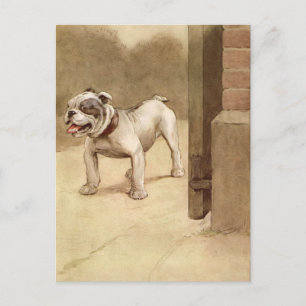 Vintage-Illustration einer Bulldoggen-Welpe Postkarte