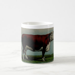 Vintage Illustration einer Hereford Kuh Tasse