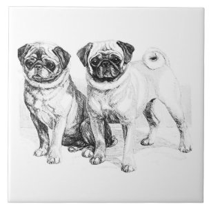 Vintage-Illustration einer Mops Fliese