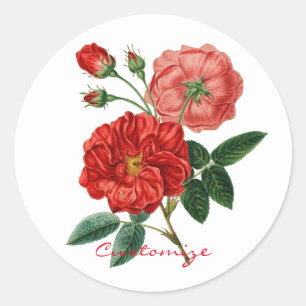 Vintage-Illustration einer roten Rose Thunder_Cove Runder Aufkleber