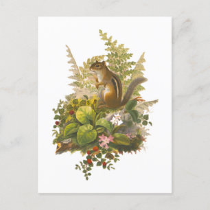 Vintage Illustration eines Adorable-Chipsatzes Postkarte