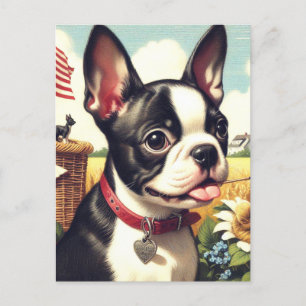 Vintage-Illustration eines Boston Terriers Postkarte