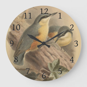Vintage-Illustration eines Kleibers Große Wanduhr