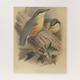 Vintage-Illustration eines Kleibers Puzzle