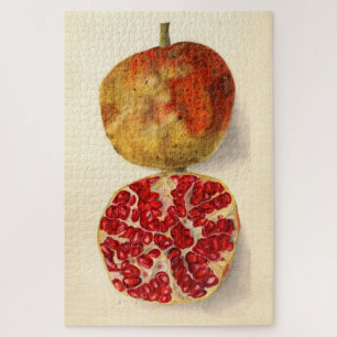 Vintage Illustration eines Pomegranats Puzzle