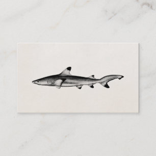 Vintage-Illustration eines Riffhais - Schwarzspitz Visitenkarte