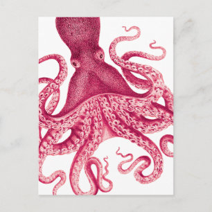Vintage-illustration eines rosa Oktopus mit femini Postkarte
