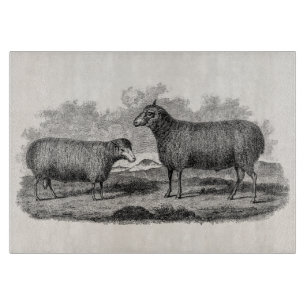 Vintage Illustration eines Schafs aus dem 19. Jahr Schneidebrett