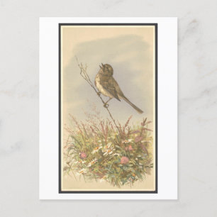 Vintage-Illustration eines singenden Vogels mit Bl Postkarte