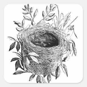 Vintage-Illustration eines Vogelnests Quadratischer Aufkleber