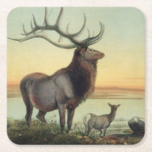 Vintage-Illustration eines Wapiti-Hirsches aus dem Rechteckiger Pappuntersetzer