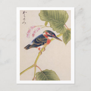 Vintage-Illustration: Eisvogel Postkarte