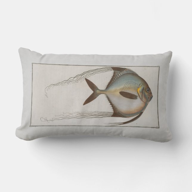 Vintage Illustration Fisch Zeus Ciliaris Lendenkissen (Vorderseite)