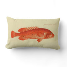 Vintage Illustration fischen das Geld