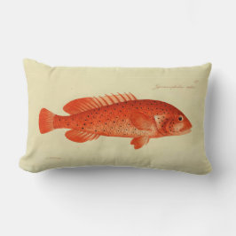 Vintage Illustration fischen das Geld Lendenkissen