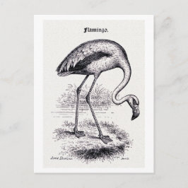 Vintage Illustration "Flamingo" Postkarte