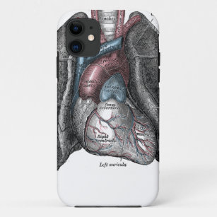 Vintage Illustration Graue Anatomie Herz Lungen Case-Mate iPhone Hülle