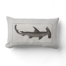 Vintage Illustration Hammerhead Shark