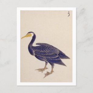 Vintage-Illustration: Kormoran Postkarte
