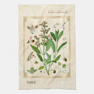 Vintage-Illustration Kräuterpflanze Salbei Botanis Geschirrtuch