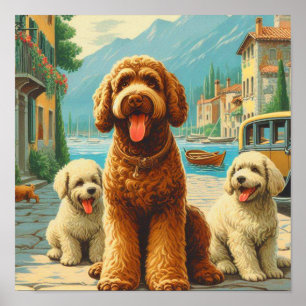 Vintage Illustration Lagotto Romagnolo Poster
