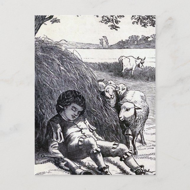 Vintage Illustration "Little Boy Blue" Postkarte (Vorderseite)