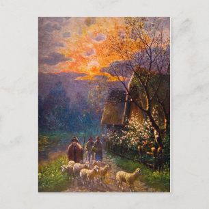 Vintage Illustration, nachts Herde der Schafe Postkarte