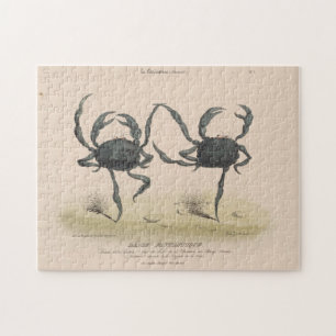 Vintage Illustration of Dancing Crabs (1849) Puzzle