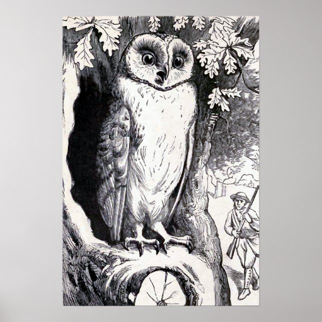 Vintage Illustration "Owl" Poster (Vorne)