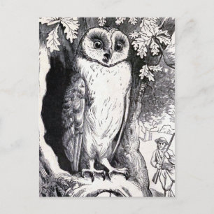 Vintage Illustration "Owl" Postkarte
