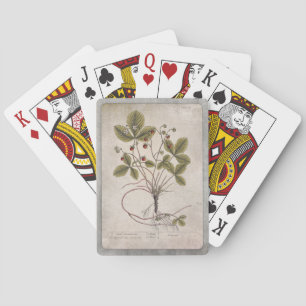 Vintage Illustration Playing Cards - Erdbeere Spielkarten