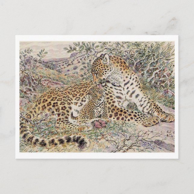 Vintage Illustration Postkarte (Vorderseite)