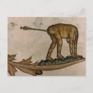 Vintage Illustration Postkarte