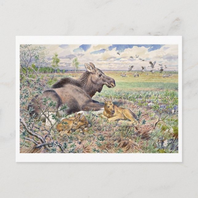 Vintage Illustration Postkarte (Vorderseite)