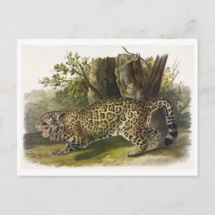 Vintage Illustration Postkarte