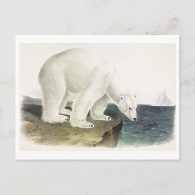 Vintage Illustration Postkarte (Vorderseite)