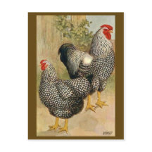 Vintage Illustration Postkarte