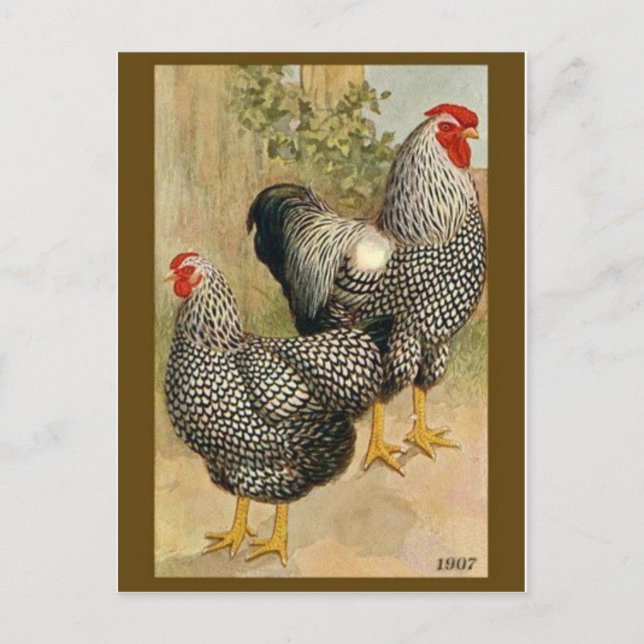 Vintage Illustration Postkarte (Vorderseite)