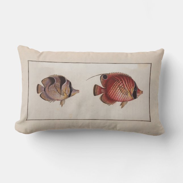 Vintage Illustration Schmetterlingsfische Lendenkissen (Vorderseite)